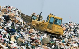 В Томске ликвидированы 60 незаконных свалок