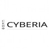 Межрегиональный супервычислительный центр ТГУ (СКИФ Cyberia)