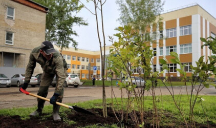 Иван Кляйн потребовал проводить озеленение в зонах дорожного ремонта