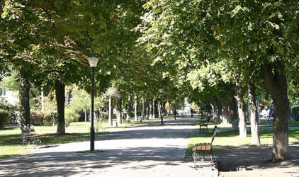 В Томске на благоустройство Сквера памяти потратят 23,2 млн рублей