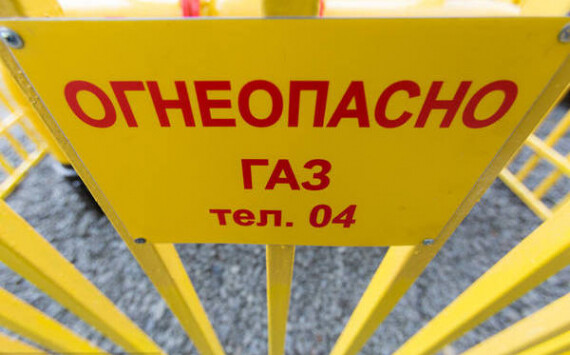 Кляйн потребовал благоустроить Сосновый Бор после газификации в сжатые сроки
