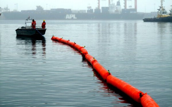 Учёные из БИ ТГУ разработали проект комплексной очистки водоёмов от нефтяных загрязнений