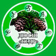 Кедр
