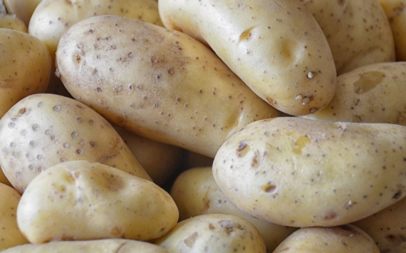 В Томской области картофель подорожал почти на 40%