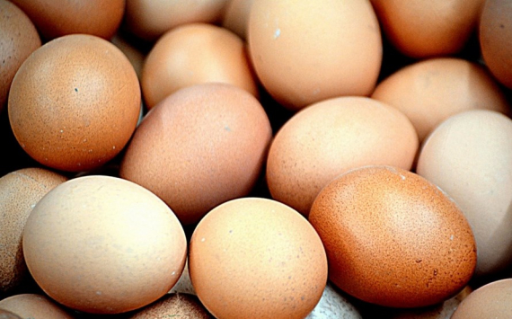 В Томской области пищевики и торговые сети не стали поднимать потолок цен на яйца и курицу